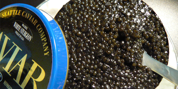 techno caviar